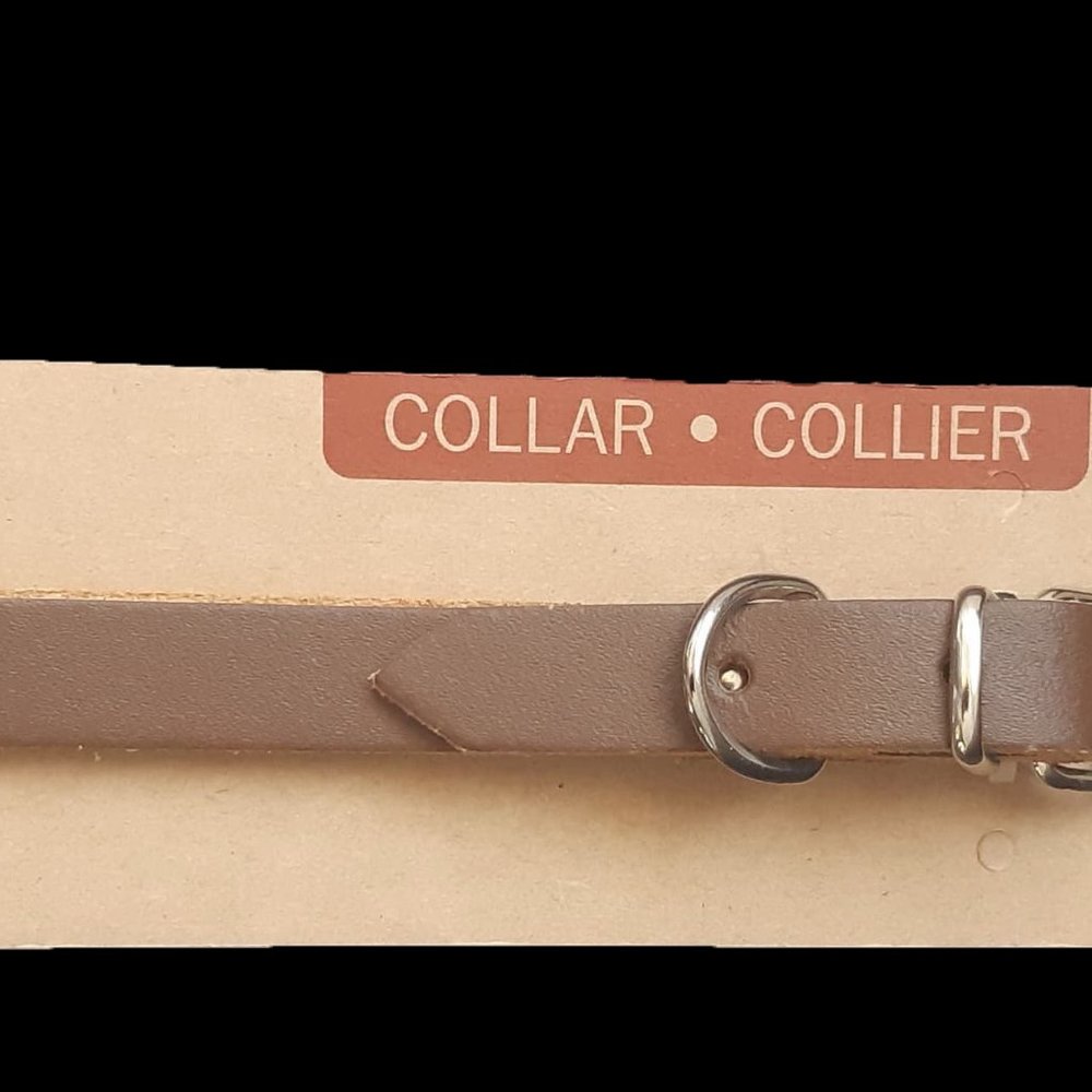 Dog Collar size M